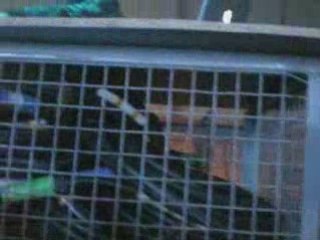 Nuit de l'archi 2009