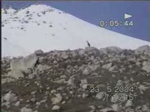 2004 çakut- kavrun- VANA AÇMA1