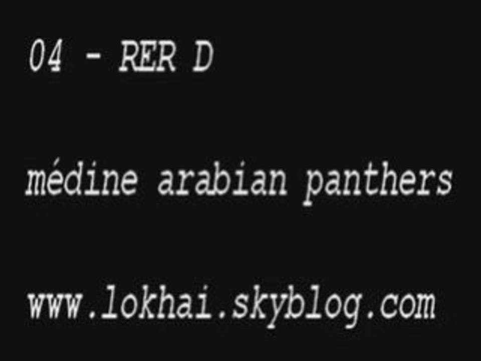 Medine RER D arabian panthers [ exclu ]