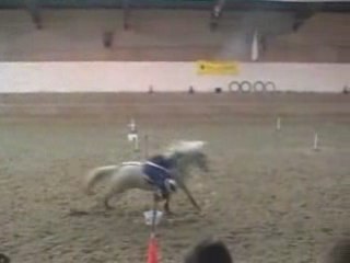 Nocturne au CHA 2009 DIMANCHE 25 Janvier