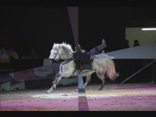 Troupe Patrice Raymond et Gilliane Senn