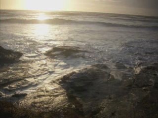 Brétignolles sur Mer le 26.01.09