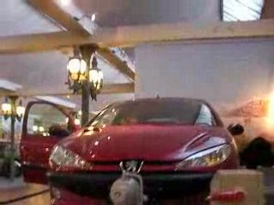 Peugeot 206 Spécial Tonneaux