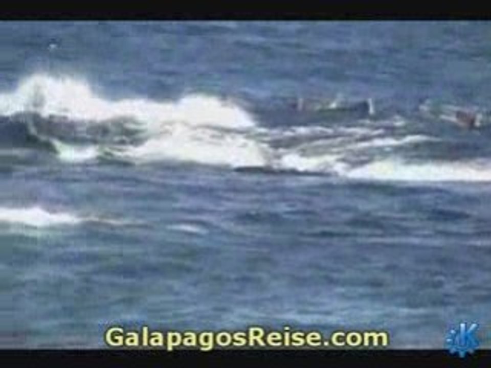 Part 11 Video Tour Galapagos