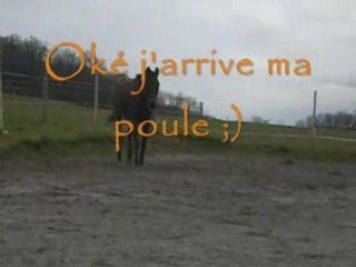 Vany fofolle + un peu de boulot