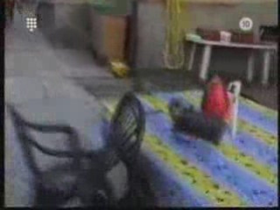 Video gag partie 2