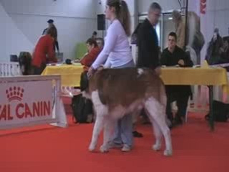 Aldo sur le ring Montpellier 09