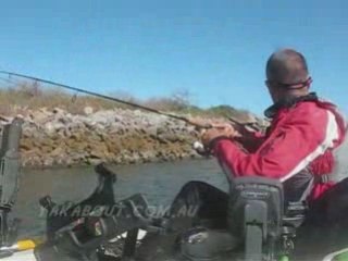 Kayak fishing report, Iluka, Australia day