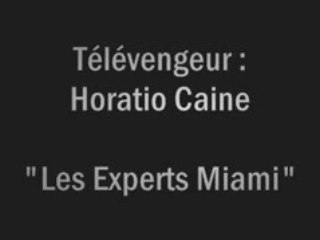Télévengeur Horatio Caine