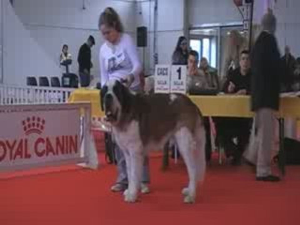 Aldo sur le ring Montpellier 09 2