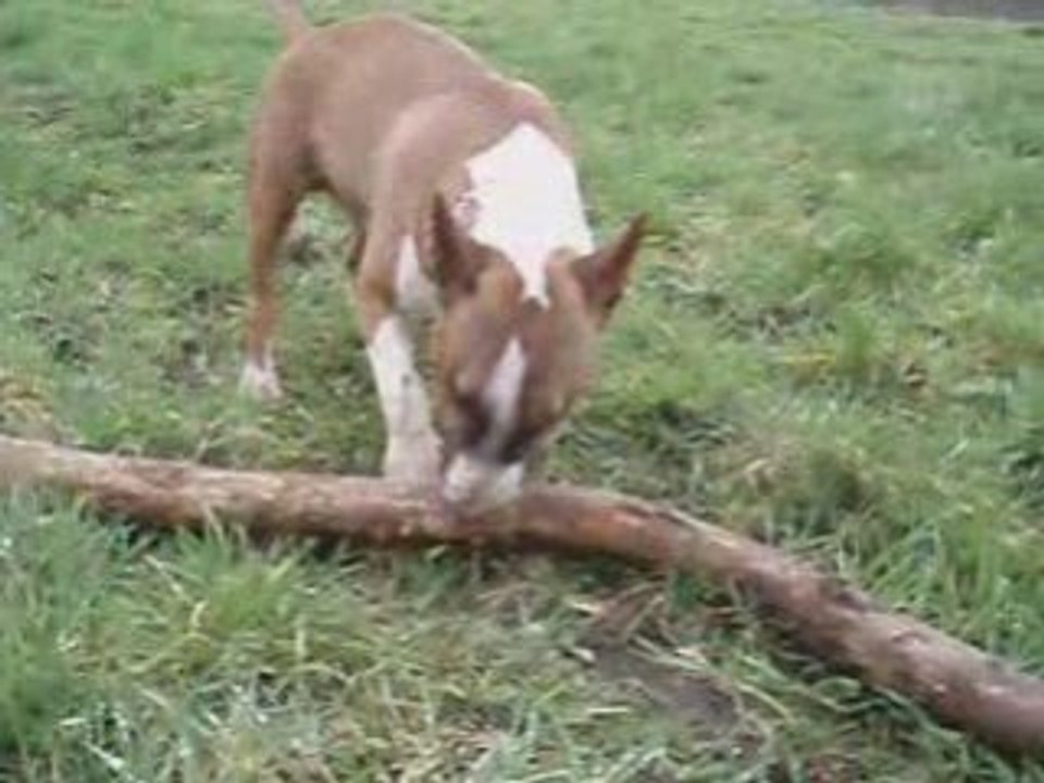 La-buche
