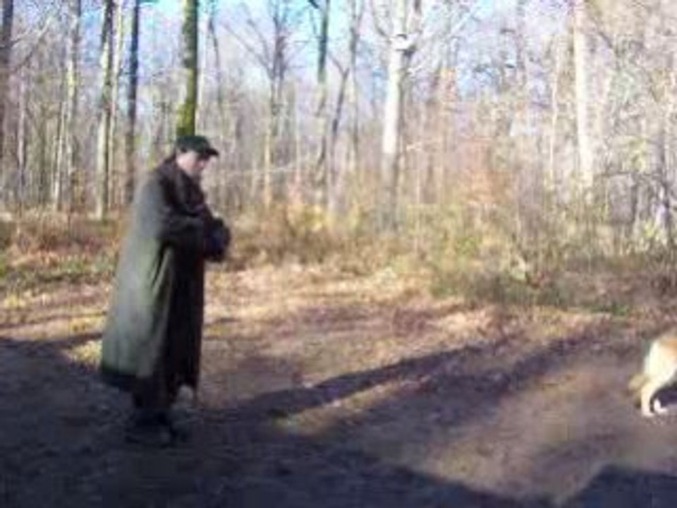 free lst à faymont  24 01 09 10kw