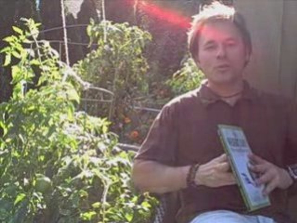 Free Weight Loss Hypnosis | Weight Loss Hypnosis Seminar