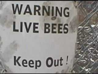 Urban Exploration Adventures 🏙️