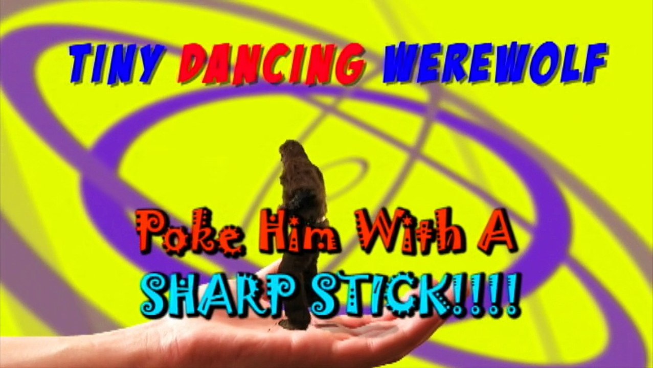 FINISHED TINY DANCING