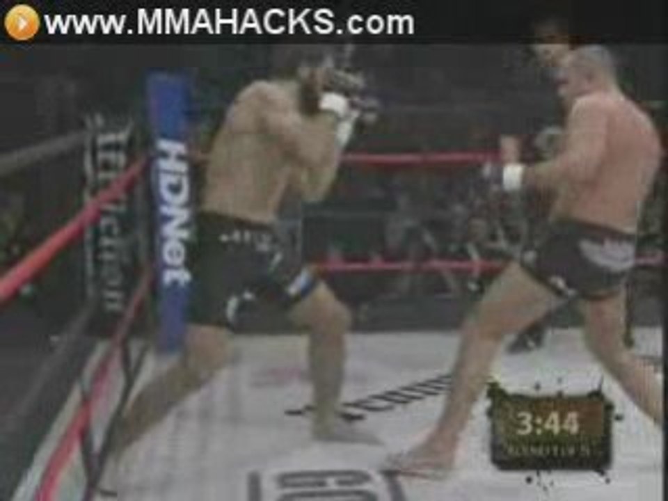 Fedor Emelianenko vs Andrei Arlovski Affliction Full Fight