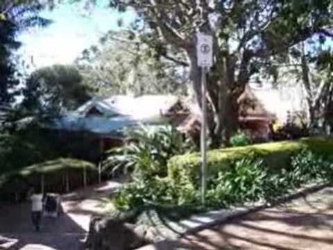 Montville Sunshine Coast Queensland