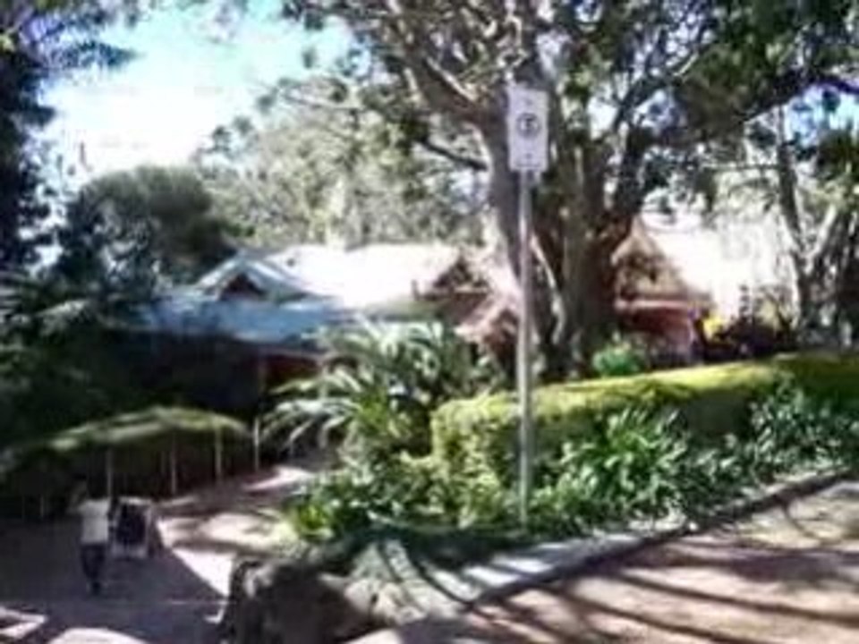 Montville Sunshine Coast Queensland