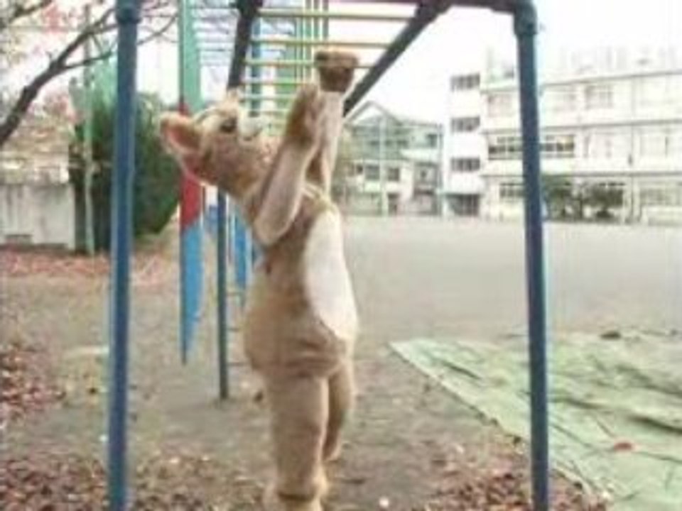 きょうのマイニチワワday14ウンテイ篇