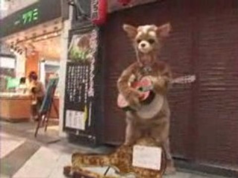 きょうのマイニチワワday19路上ミュージシャン篇