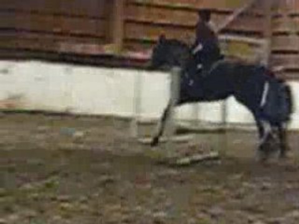 Jumping lesson 26.1.09