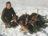 Battue au cerf dans les Hautes_Pyrénées