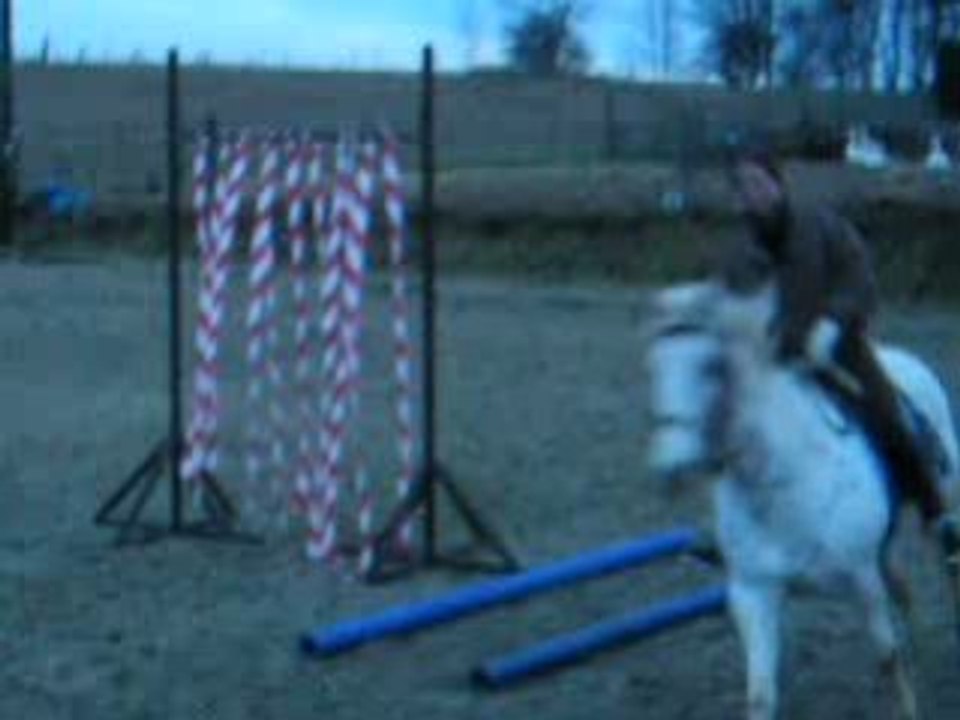 entrainement ptv trec tif