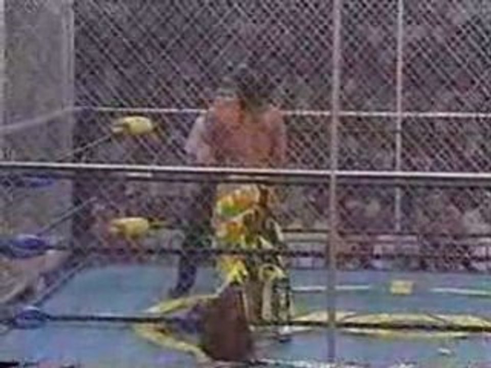 Superbrawl VI 15