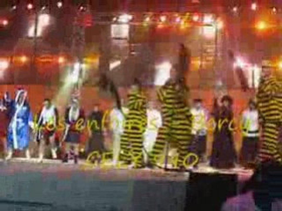 LES ENFOIRES - BERCY