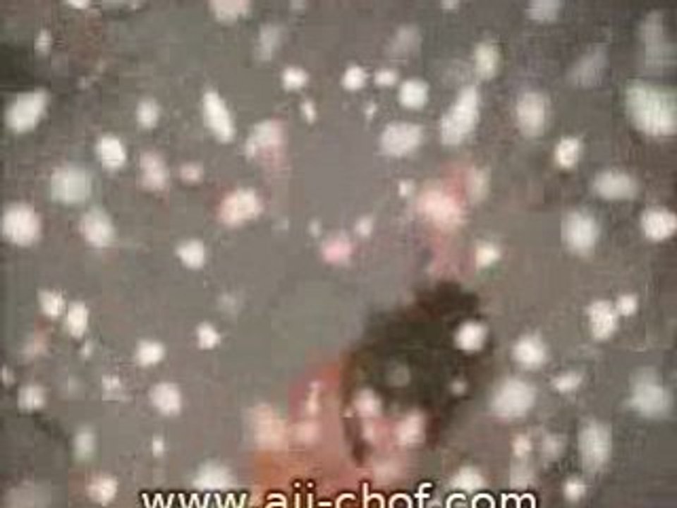 Samira Said - Pub 2006 Lucior 1