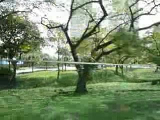 クアラルンプール市内