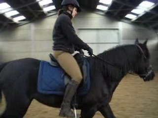 travail au pas du jeune cheval 2