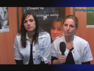 Assistante vétérinaire, la formation, le métier