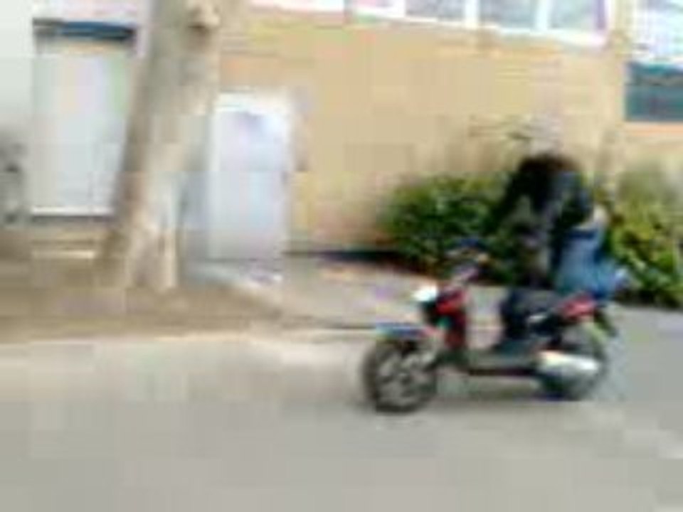 Kamel en roue allende