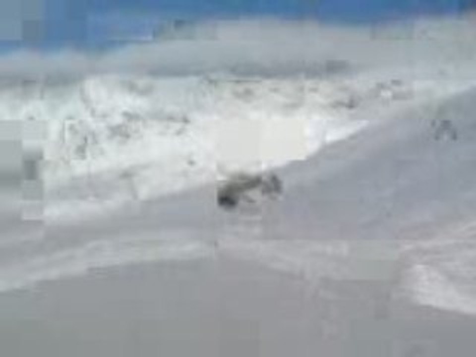Chute a ski de wilo