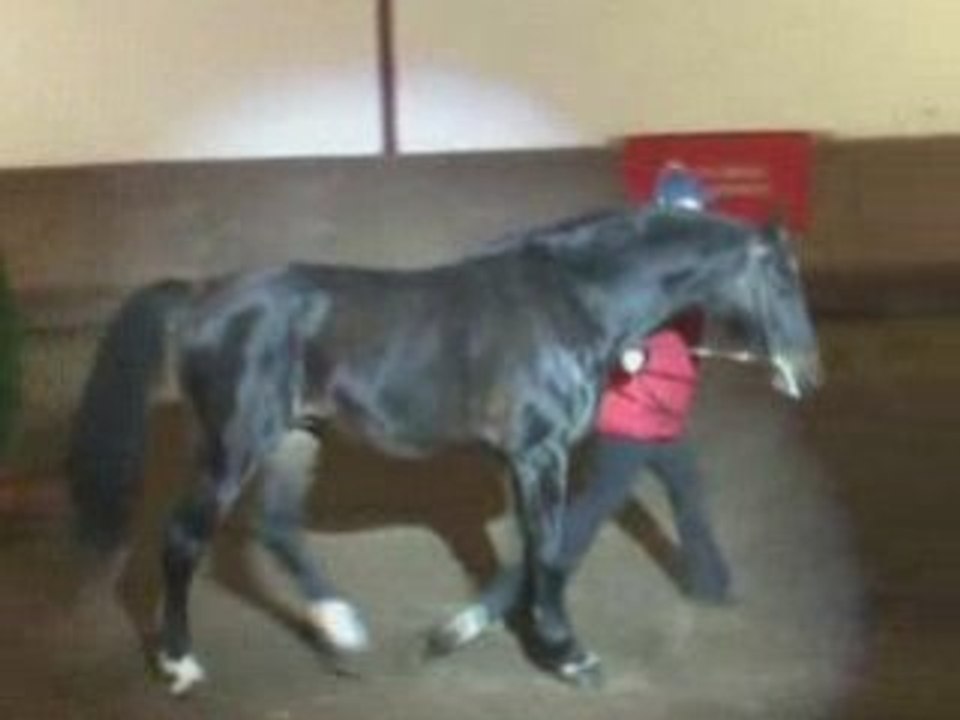 Controe presentation Besancon