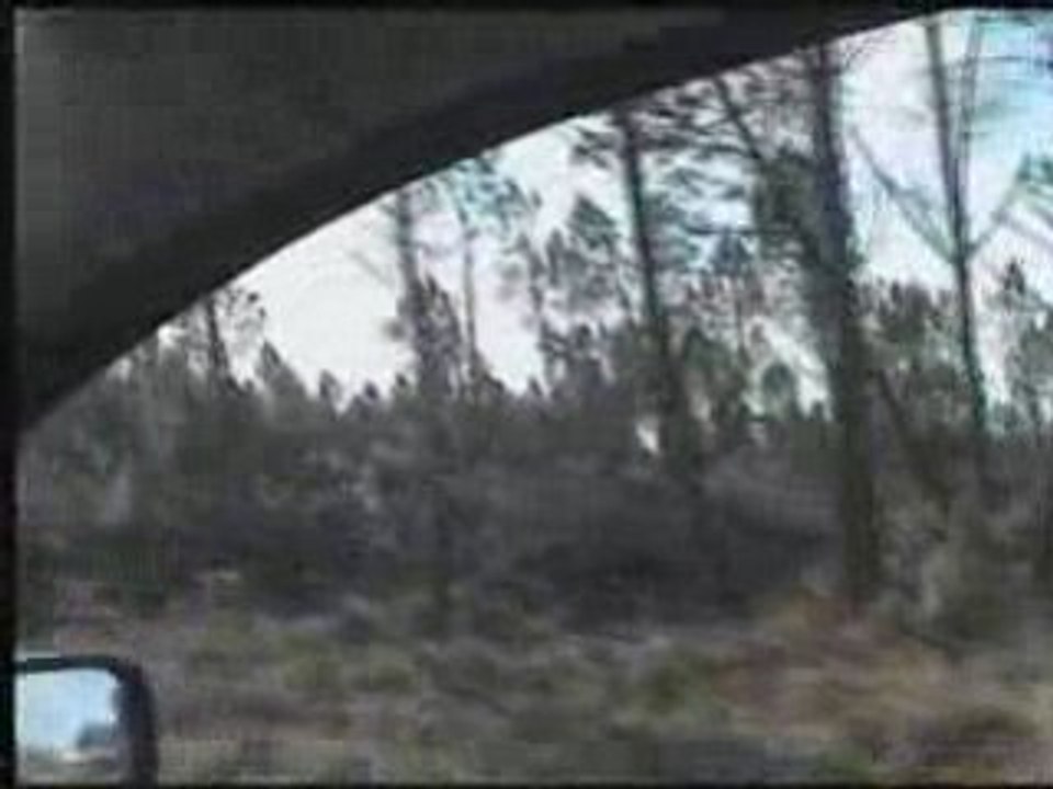 Tempete landes sud ouest 2009 2 partie