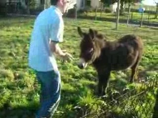 Aprem chez Michelot vidéo1