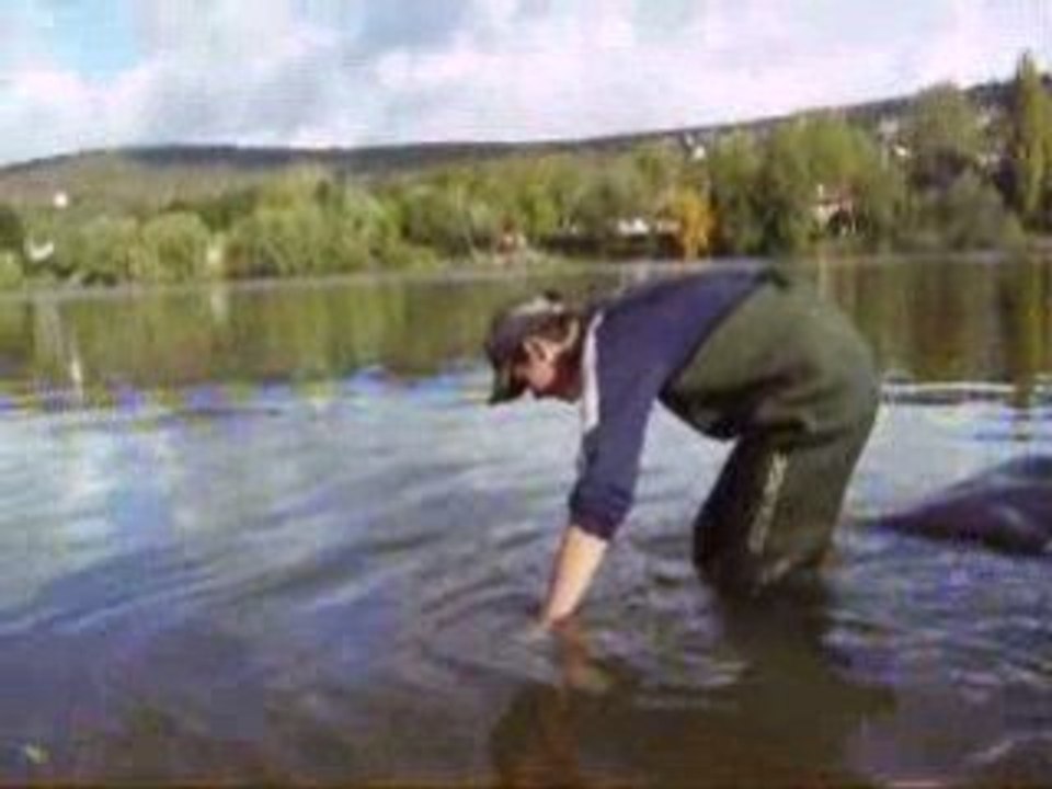 remise a l'eau