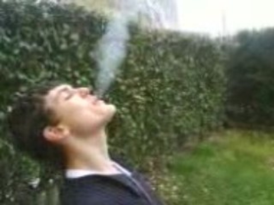 Fumer Le Bambou Du Jardin