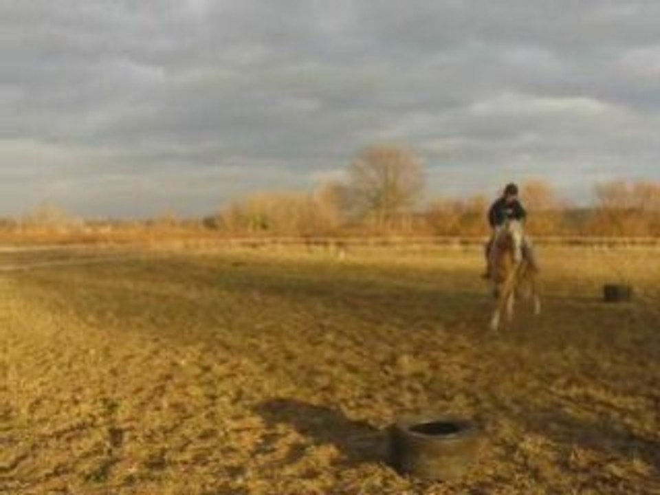 début déplacements lat au trot