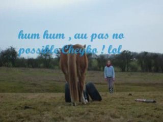Scèance de saut samedi après midi