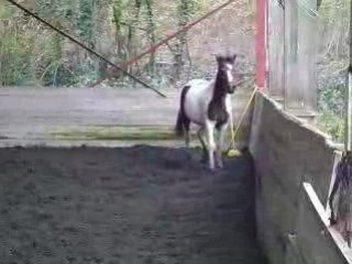 Name des elfes d'argents