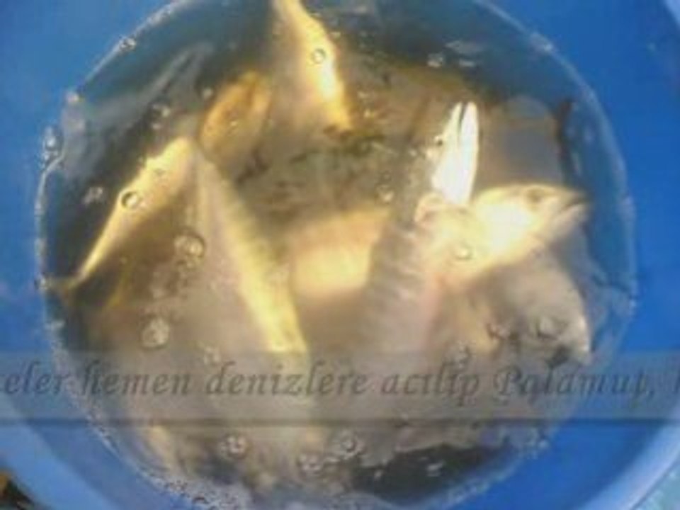 İlyasbey Köyü Tanıtım Video'su