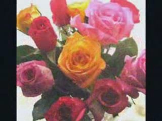 Veselin Marinov - Imen den