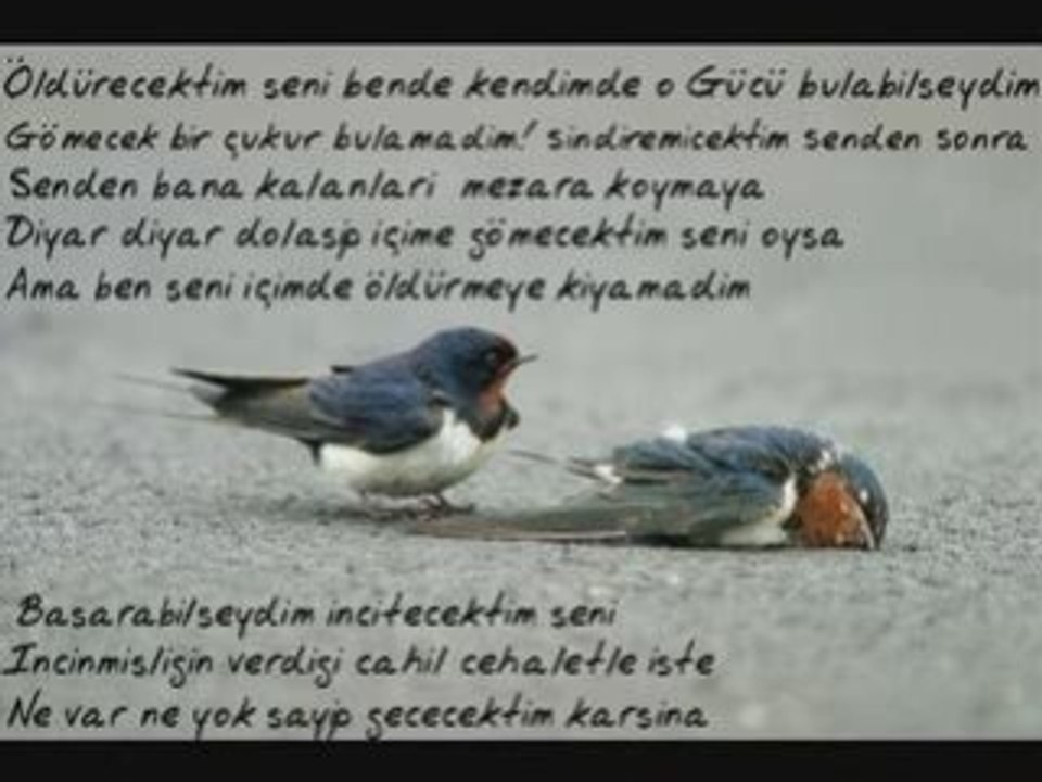 MuRaT YILDIZ SeniSewenÖLDü