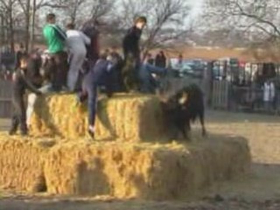 monteils pays + l encierro