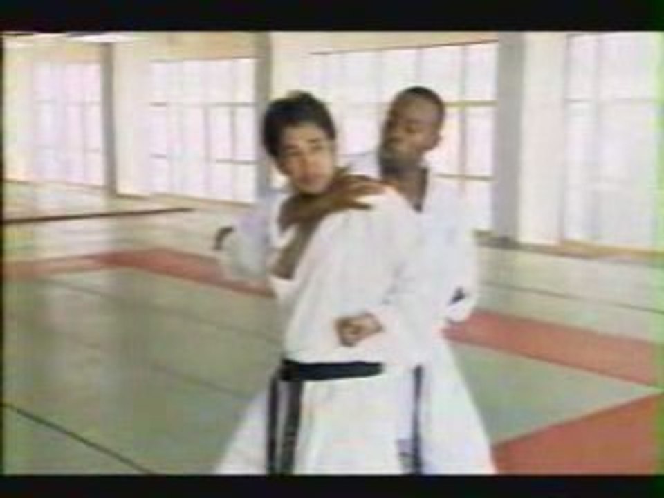 Le tigre et le karatéka - Le karaté animalier (2/2)