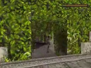 Tomb raider 1 niveau cavernes