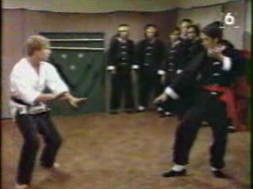 "Manimal" - Le kung-fu animalier